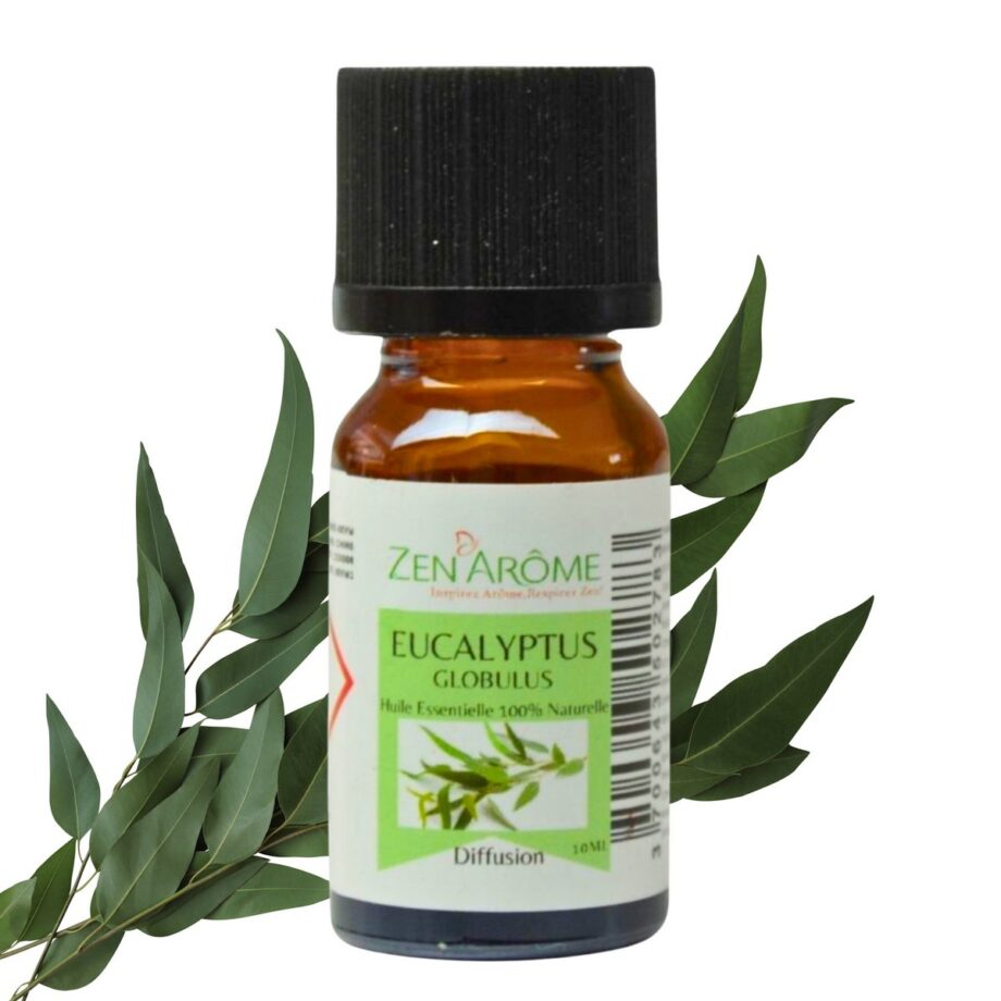 Etherische olie - Eucalyptus (10ml)